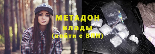 дмт Пересвет