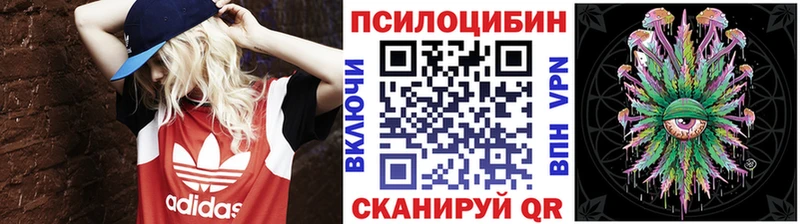 darknet наркотические препараты  Сухиничи  Псилоцибиновые грибы мухоморы 